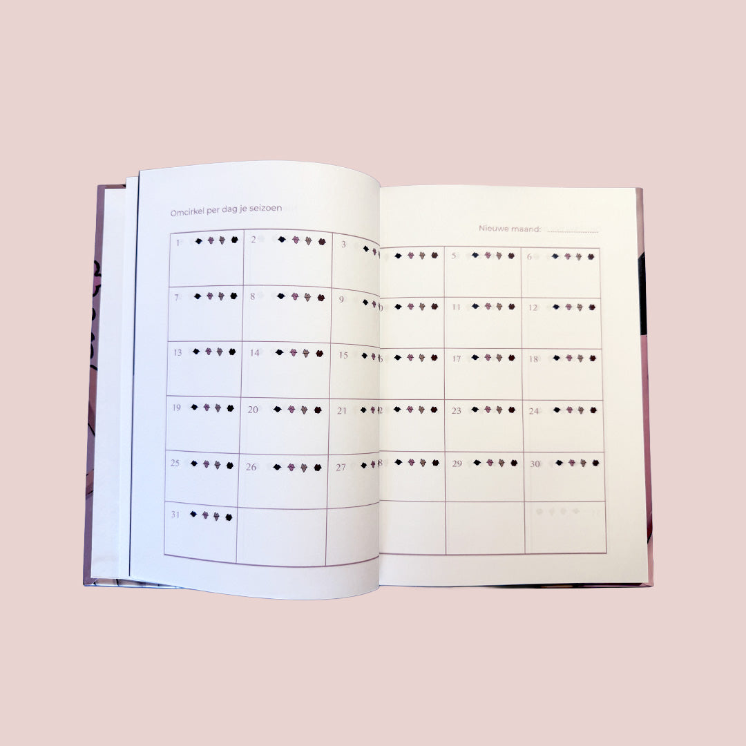 Het Lumina notebook